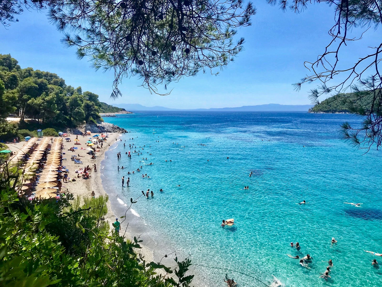 Princess Cruises and Sailing has been welcoming guests at Skopelos Port, welcoming you with an unforgettable journey at sea. From Skopelos to Skiathos to the neighbouring islands around the North Sporades, get ready to explore the natural beauty on our day or multi-day trips.